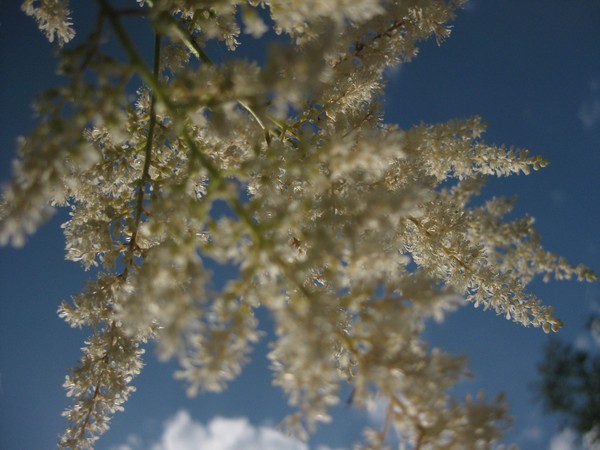 light
