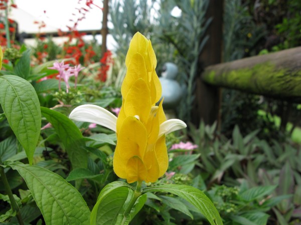 IMG 3559 resize