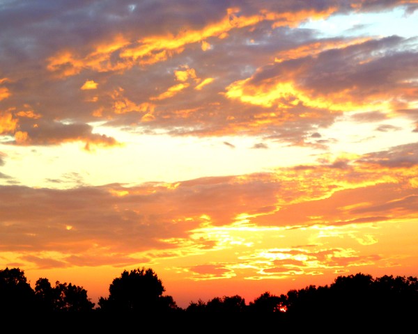 Fire In The Sky