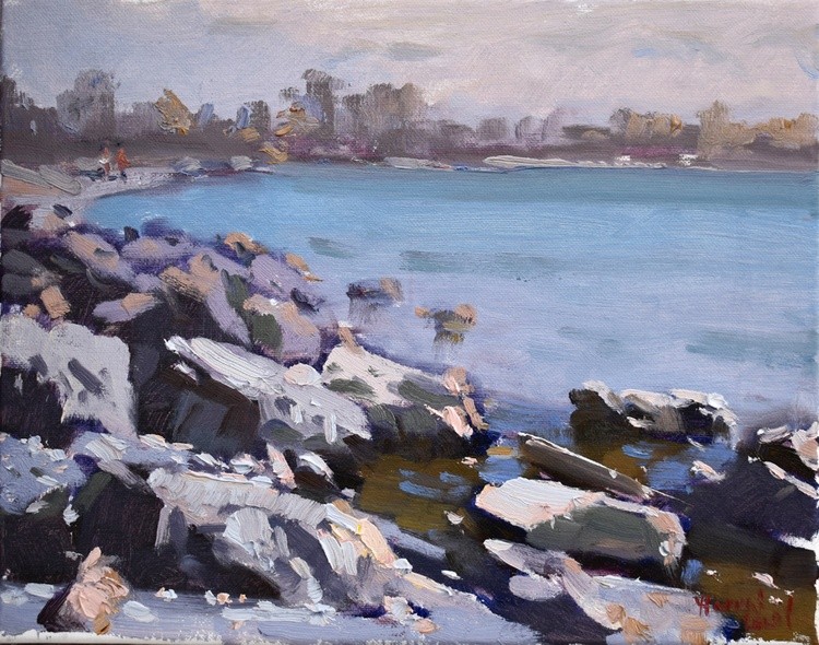 Rocky Shore