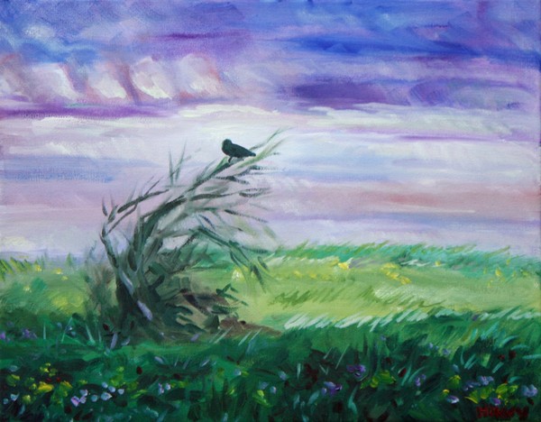 Raven in a thicket