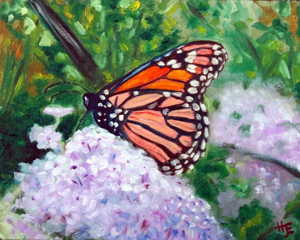 Butterfly and lilac study