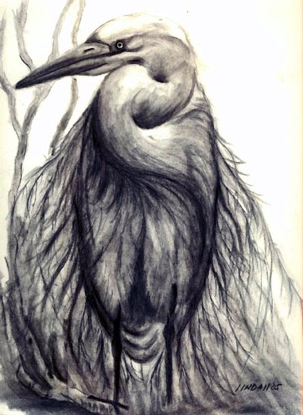 White Egret