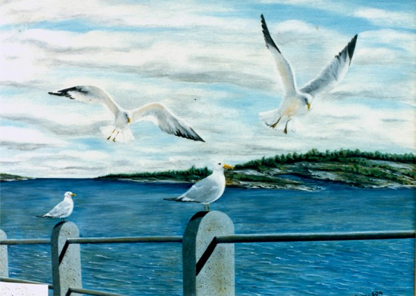 SEAGULLS