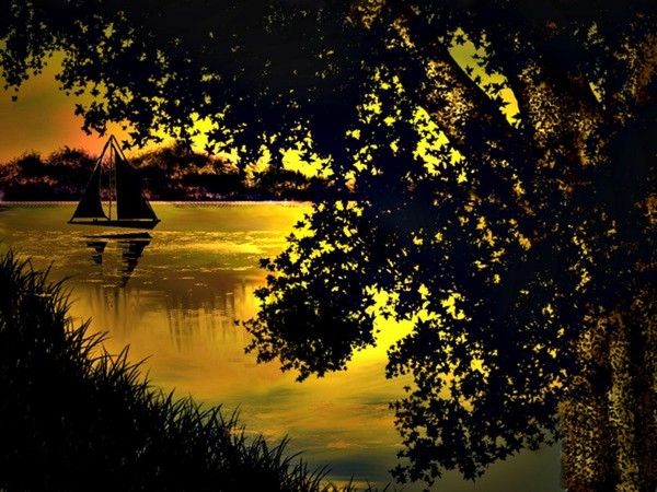 Golden Midnight