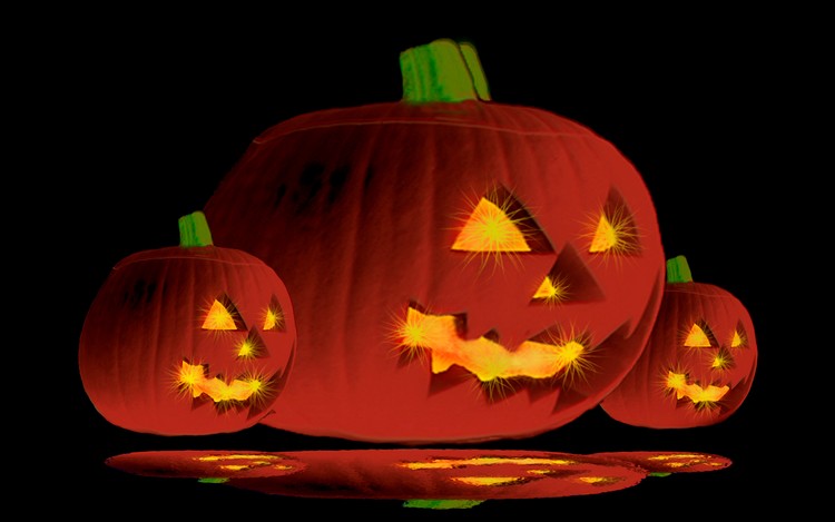 Pumpkin Trio