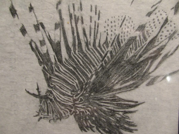 Lion Fish Illustration