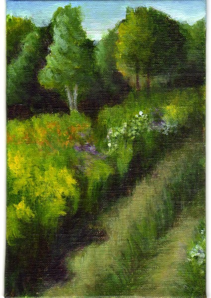 Mountain Meadow
