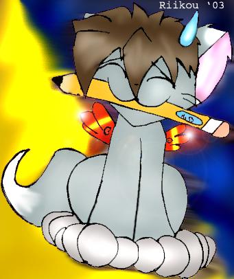 Heero kitty! =D