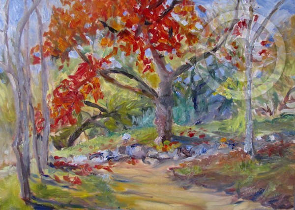 Luther Burbank's Trees
