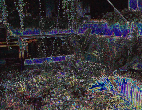 Indoor garden