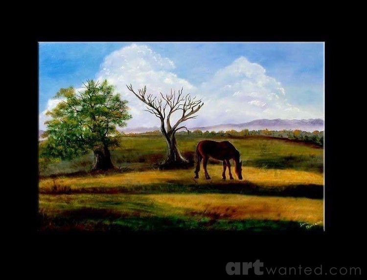 Horse landscape