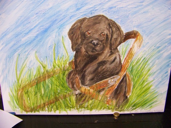 Seeing-eye Puppy