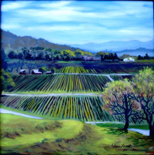 Robert Young Vineyards