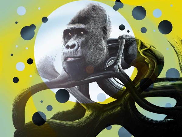 Gorilla TaffyFX LG