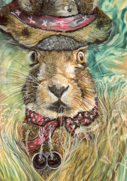 'Off M'land Boy! Tennessee Hare!!!