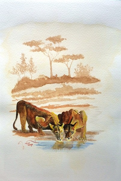 Lioness