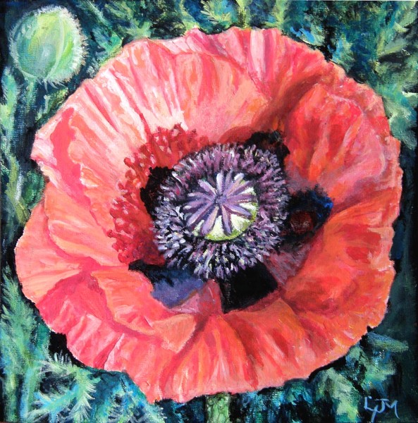 Poppy
