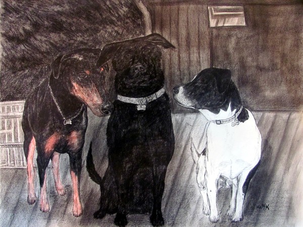 Comissioned charcoal