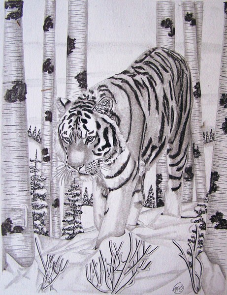 Silent Hunter