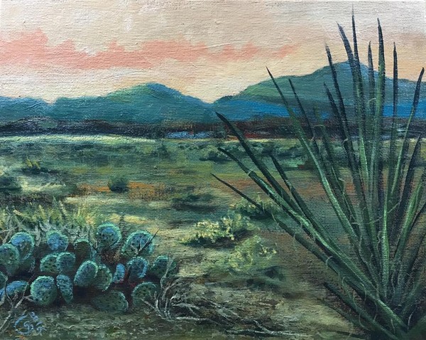 High Desert Vista