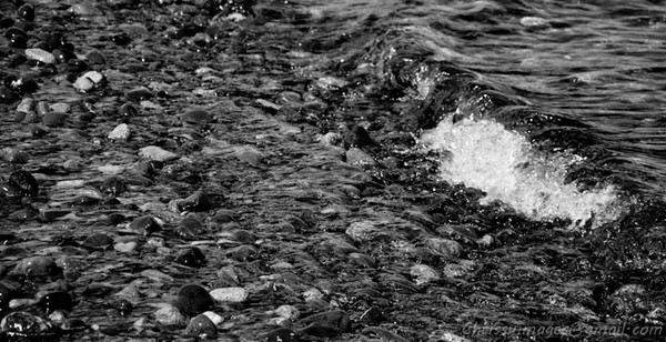  B&W shore