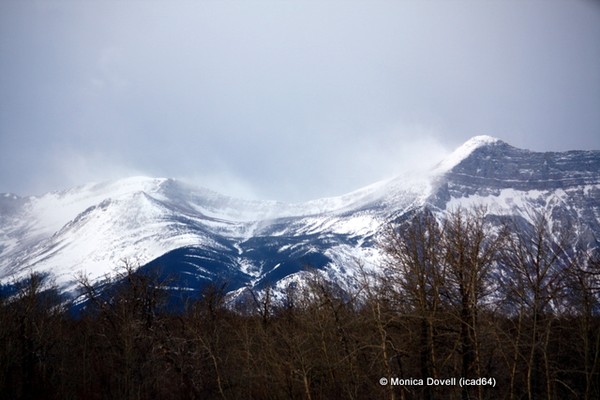 Winter winds