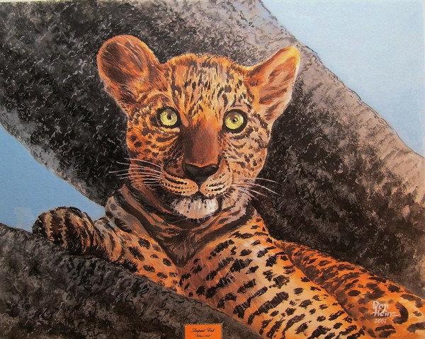 Leopard Cub 