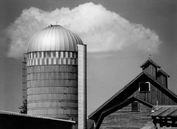 Barn & Cupolas