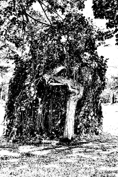 Cemetary Spirit #4