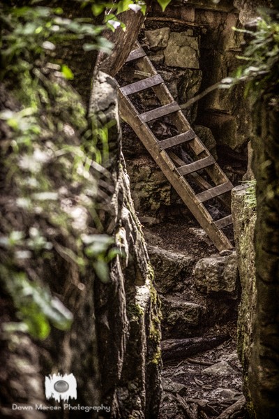 Ladder To The Caves