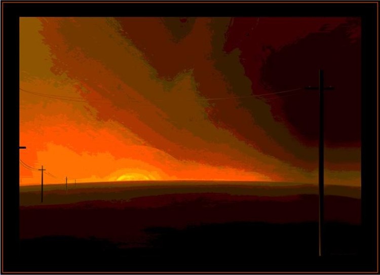 Field. Evening