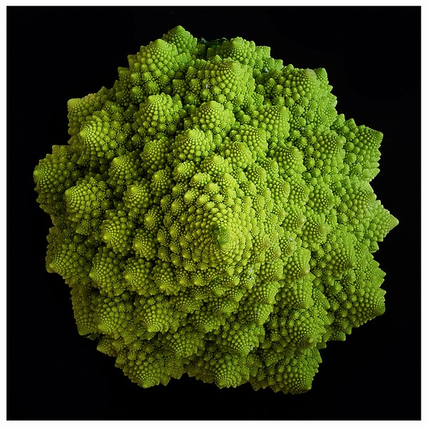 broccolo romanesco