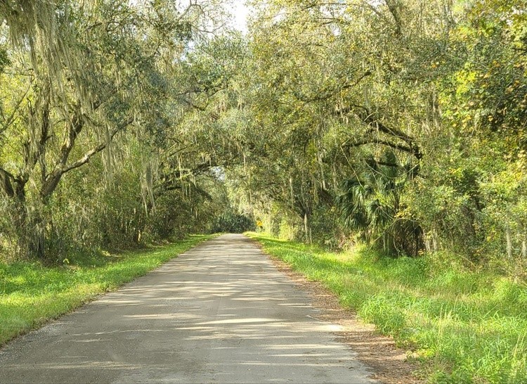 YESTERDAYS BEAUTIFUL DRIVE