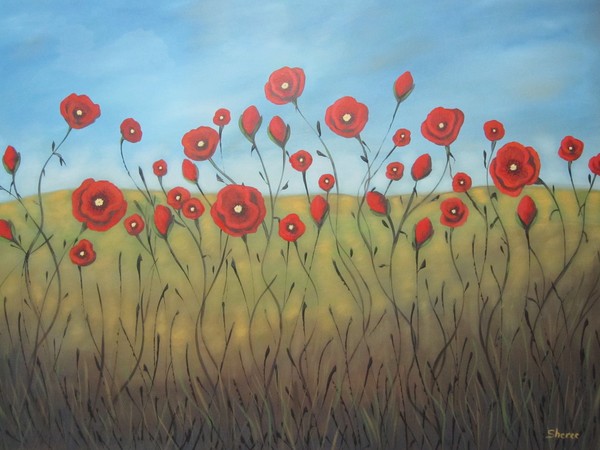 Poppies