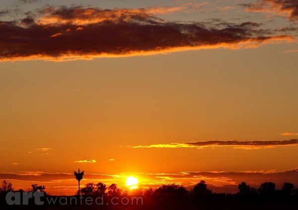 SKY GOLD