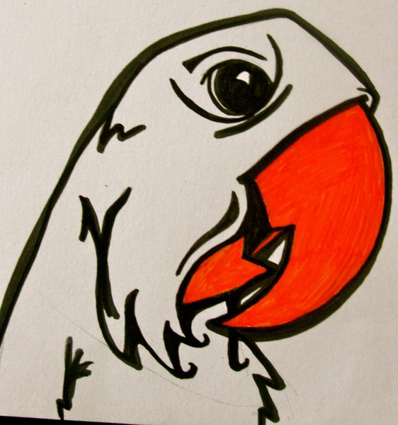 Parrot