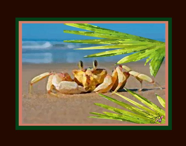 Beach Crab