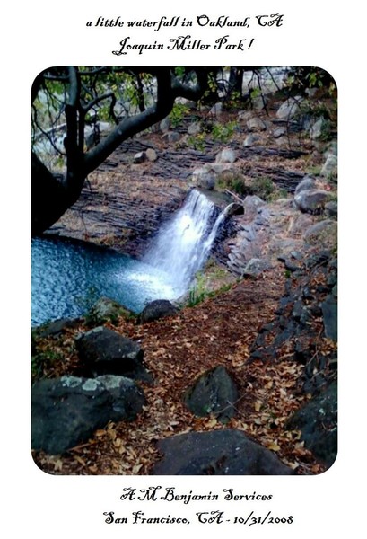 Joaquin Miller Park Waterfall