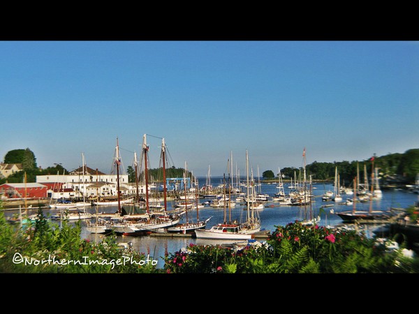 Camden Harbor in the Summer