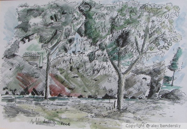 Near The Home