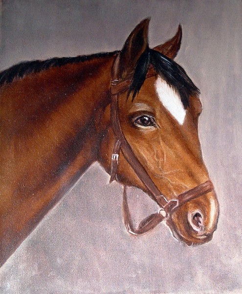 Horse head1