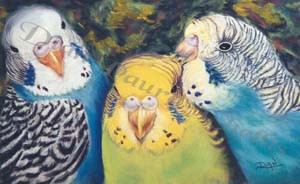 Feather Friends