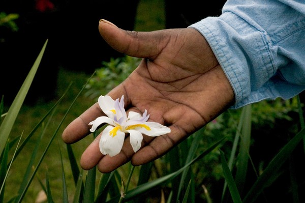 the gentle touch