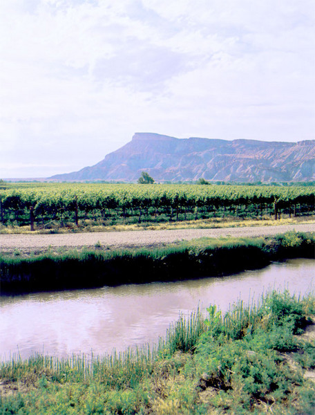 Palisades Pastorale