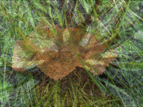 Manipulation 21