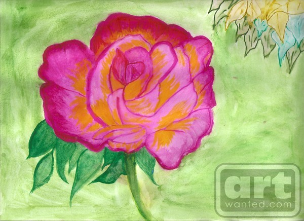 Water Color Rose