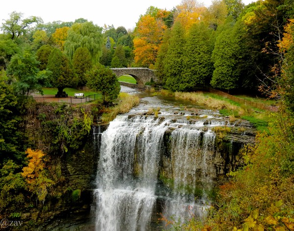 Webster's Falls