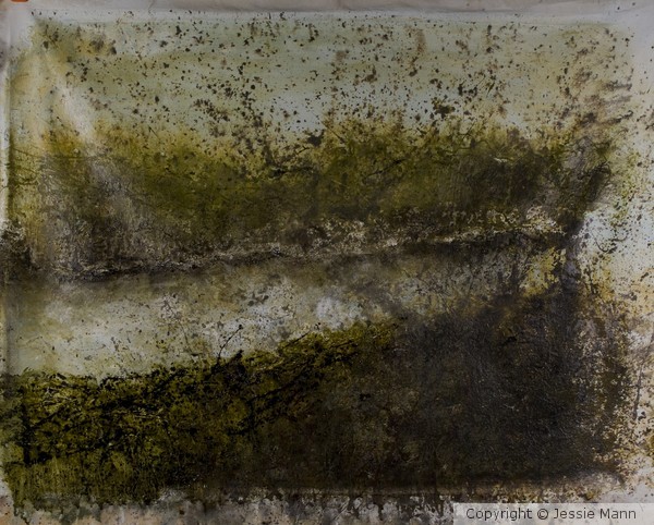 Mixed Media on unstretched Canvas 30x40 2011