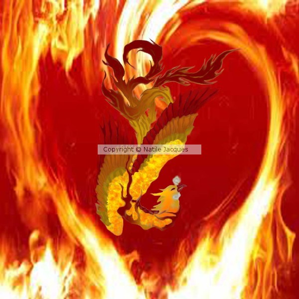 Phoenix Heart